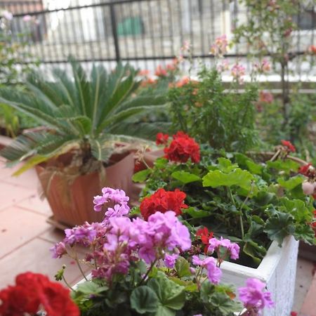 Sea View Apartments Poseidon ليبتوكاريا المظهر الخارجي الصورة