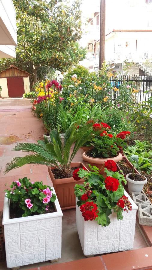 Sea View Apartments Poseidon ليبتوكاريا المظهر الخارجي الصورة